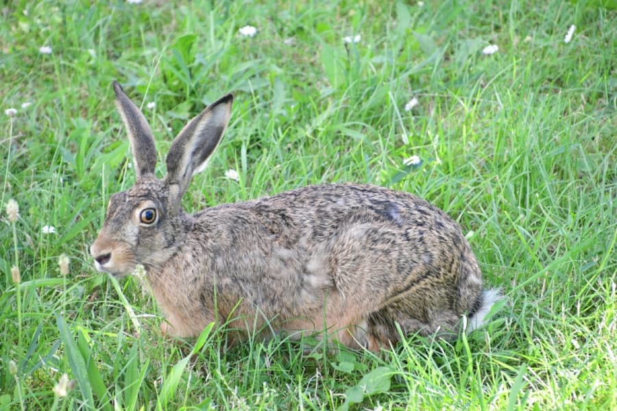 2026-03-11-DSC_9904 - kopie.JPG